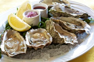 oysters